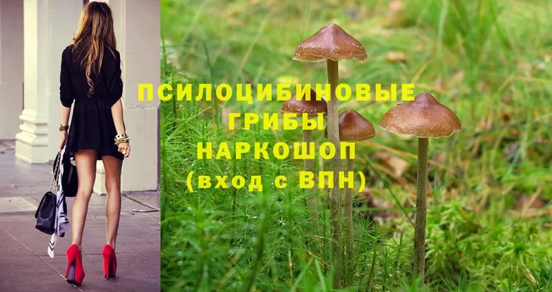 Галлюциногенные грибы MAGIC MUSHROOMS  Лесной 